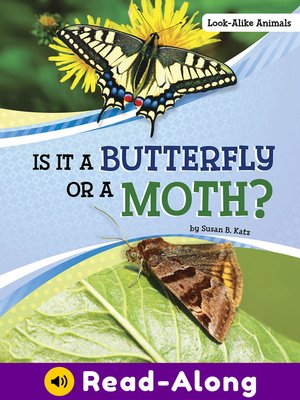 cover image of Is It a Butterfly or a Moth?